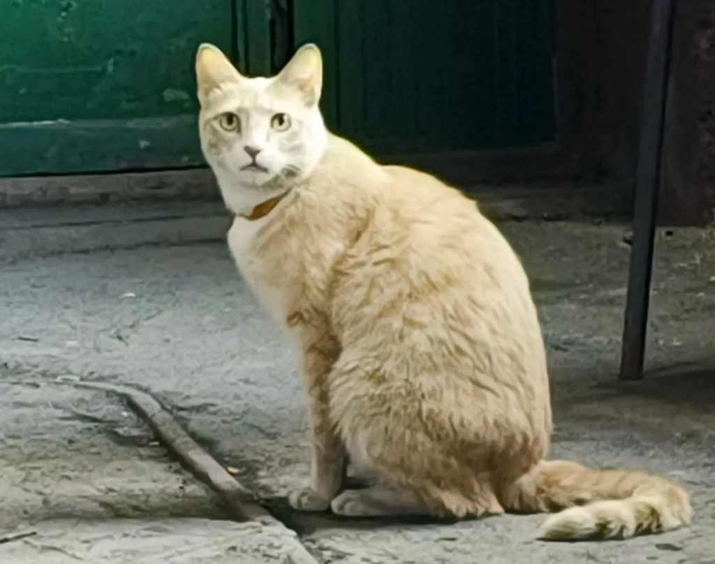 41.jpg